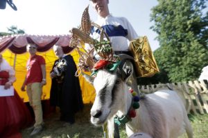 Goat owner Ferdinandas Petkevicius pose for a picture with goat winner Demyte, during goat beauty pageant in Ramygala, Lithuania, June 26, 2016. REUTERS/Ints Kalnins